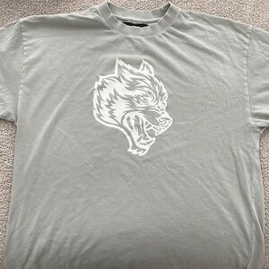 Sage green Darc sport tee